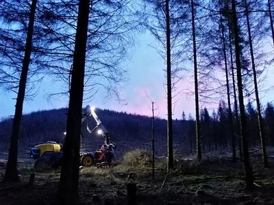 Harvester Eco Log 590 E