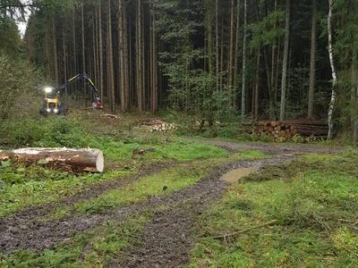 Käferbestand #EcoLog590