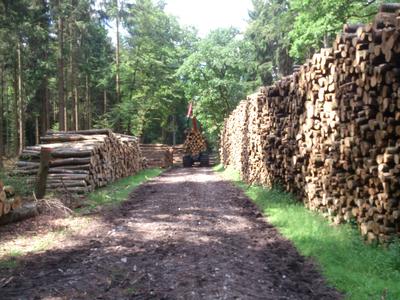 Holzpolter #HSM 208 F