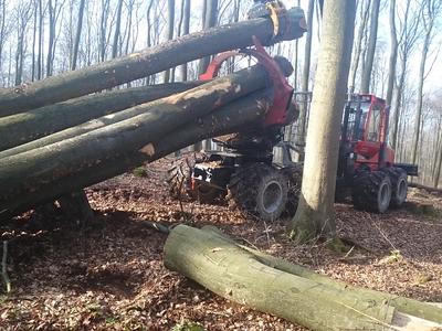 Langholzrückung mit der Klemmbank