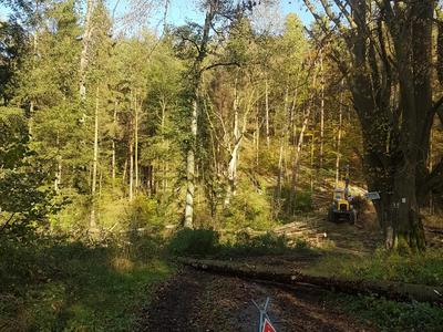 Holzernte #EcoLog590 E